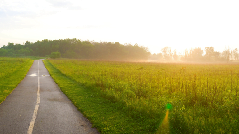 1C4E5C47-3E6E-4F36-B770-55F8FD33D714